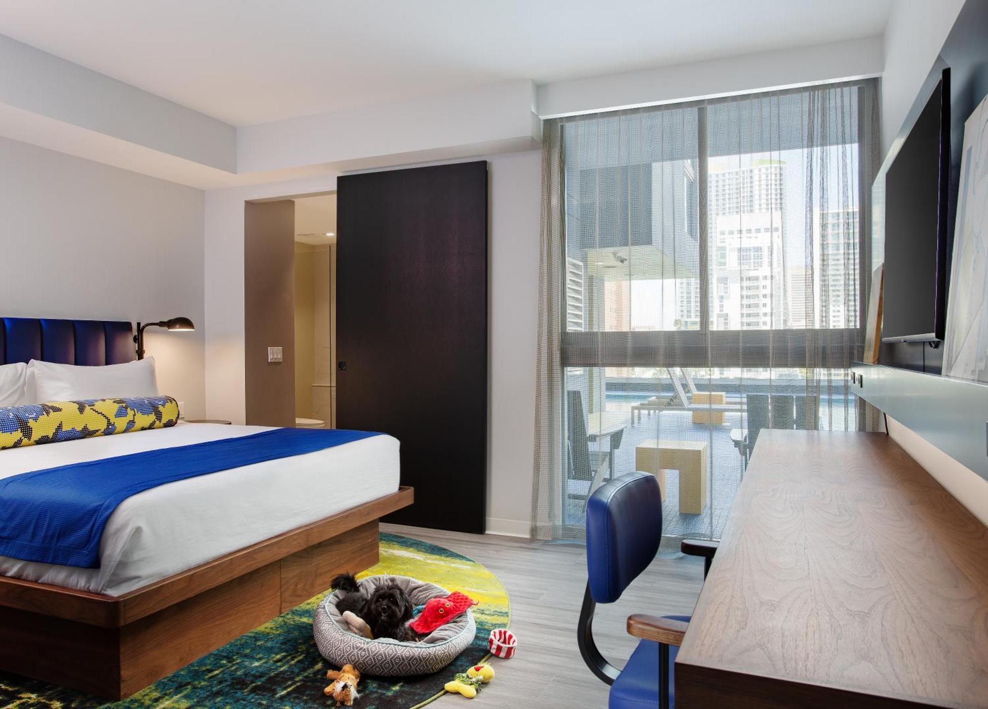 Hotel Indigo Miami Brickell By Ihg Pokój zdjęcie